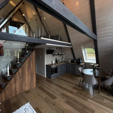 дім у карпатах