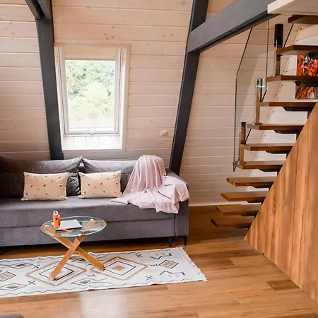 дім у карпатах